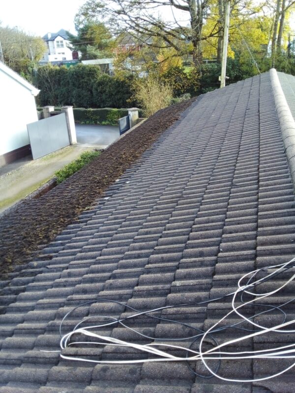 Roof Moss & Algae Treatments